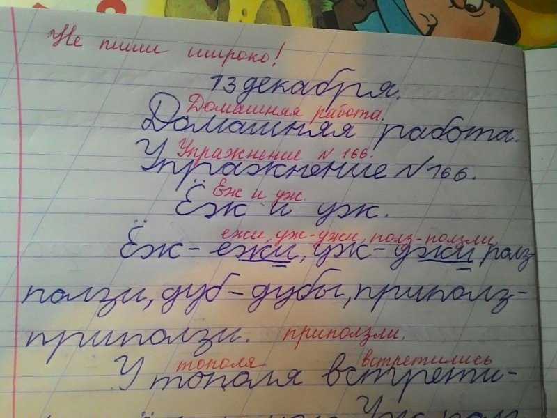 Цитата из кухни вот и все неплохая получилась история