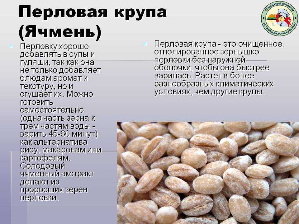 Польза и вред ячменной каши, как варить на воде, молоке и в мультиварке - рецепты с фото и видео