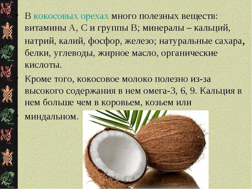 Кокосовое молоко в домашних условиях: рецепт с фото