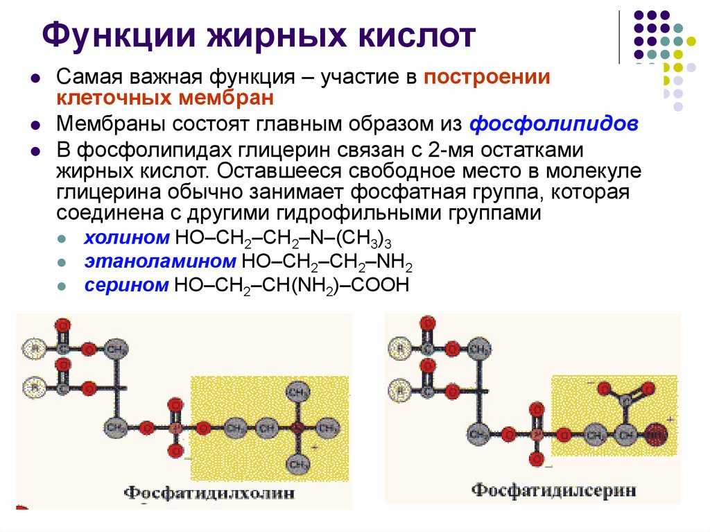 Печень с картошкой - 32 рецепта приготовления пошагово - 1000.menu