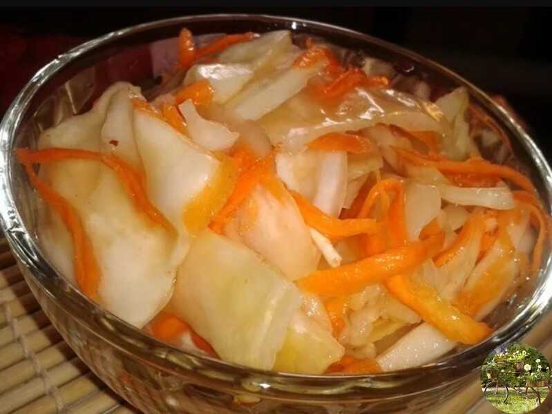 Маринованная капуста: 12 очень вкусных рецептов быстрого приготовления