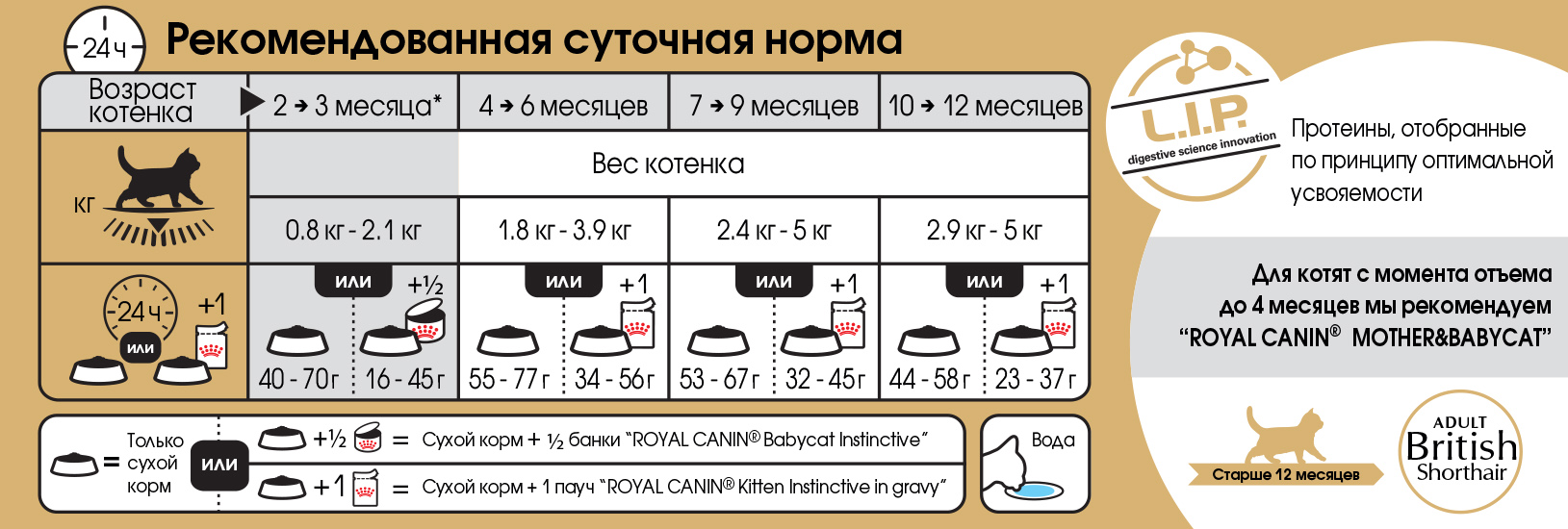 Как приготовить куриные желудки — 13 рецептов, чтобы они были мягкие