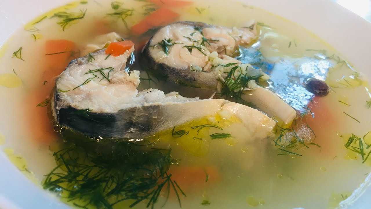 Уха из скумбрии свежемороженой: два вкусных рецепта приготовления из замороженной рыбы в домашних условиях