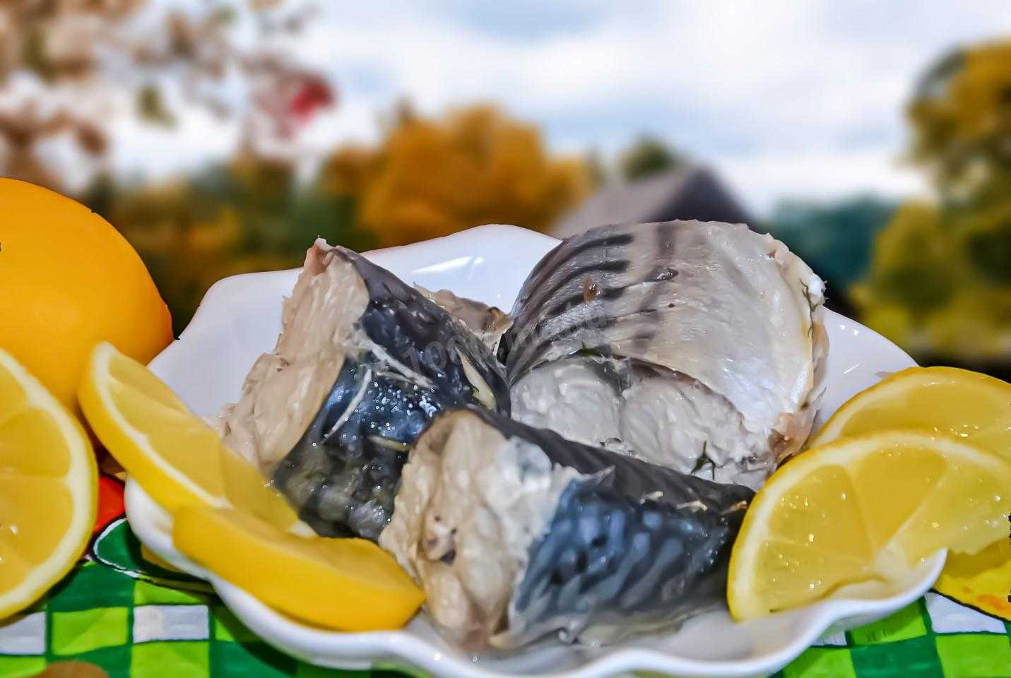 Как приготовить отварную скумбрию - пошаговый рецепт с фото