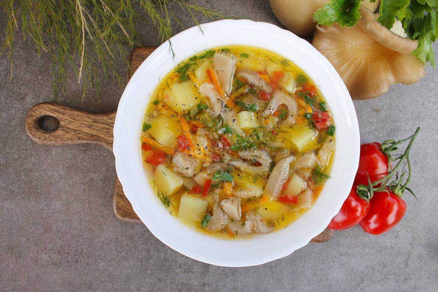 Грибной суп из сушеных грибов - самые вкусные рецепты