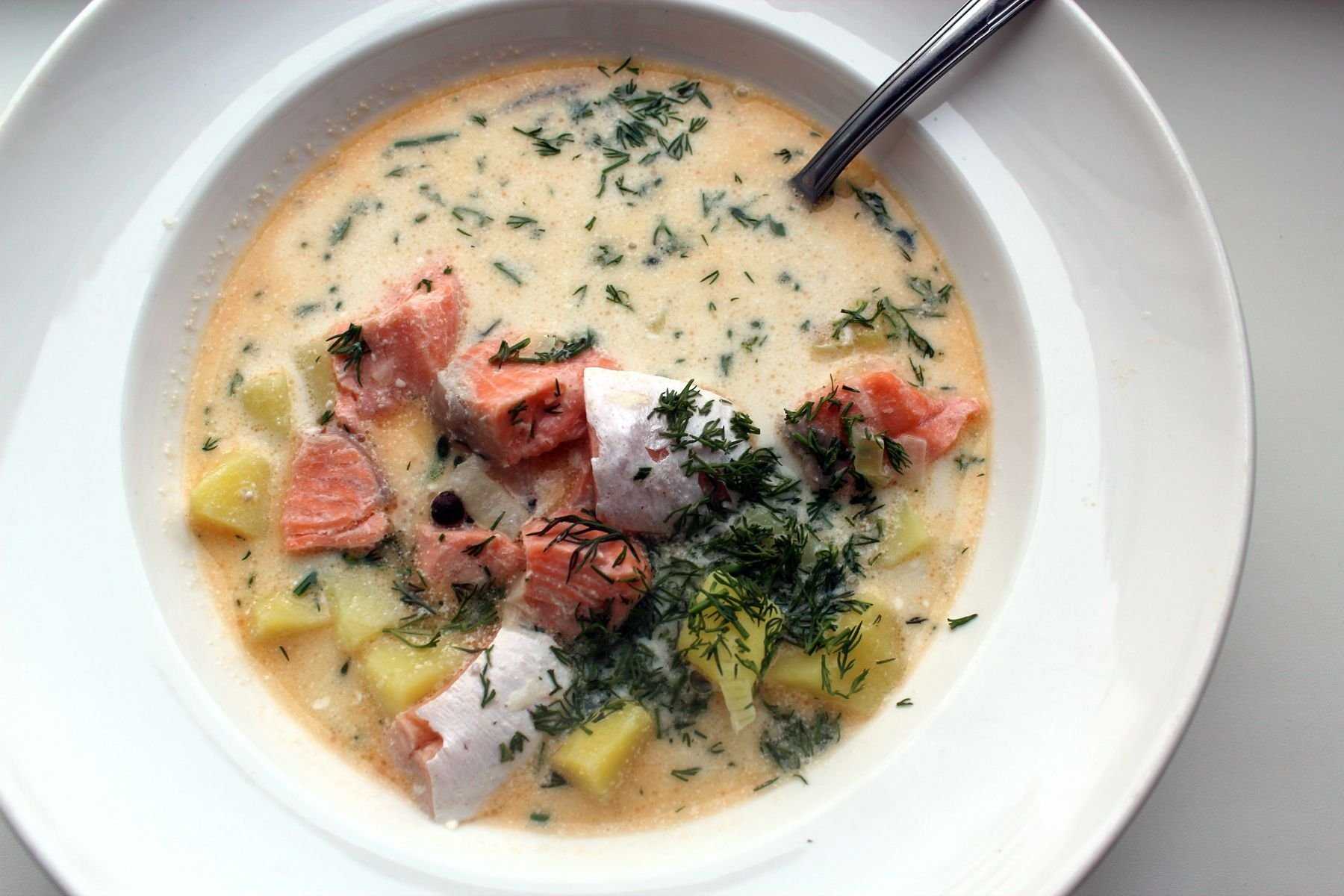 Суп финский со сливками: рецепты лохикейто с семгой и лососем