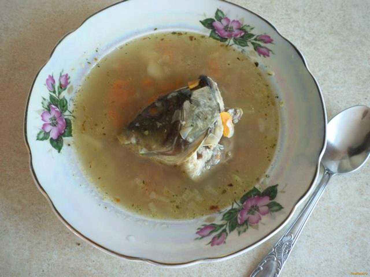 Уха из головы семги – рецепты рыбного супа с фото