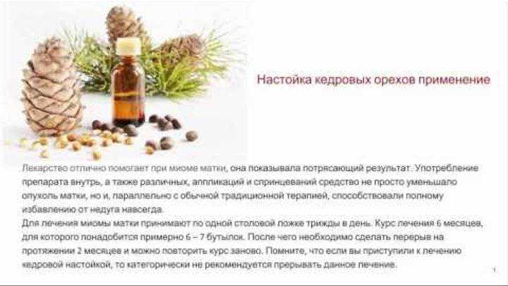 Водка на кедровых орешках в домашних условиях: как готовится и  как используется – сайт о винограде и вине