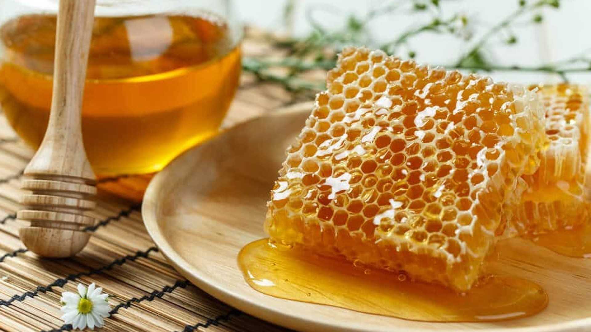 Печенье с семечками подсолнуха – 👌 печенье с семечками, 100 вкусных рецептов с фото 👌 алимеро — slontd.ru — гипермаркет слон