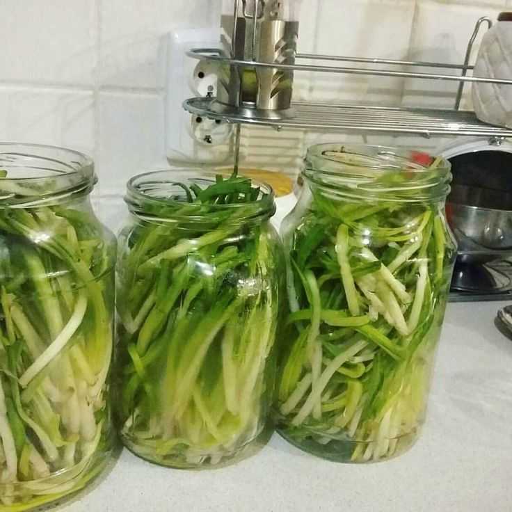 Рецепт мариновать черемшу — быстро, просто и вкусно
