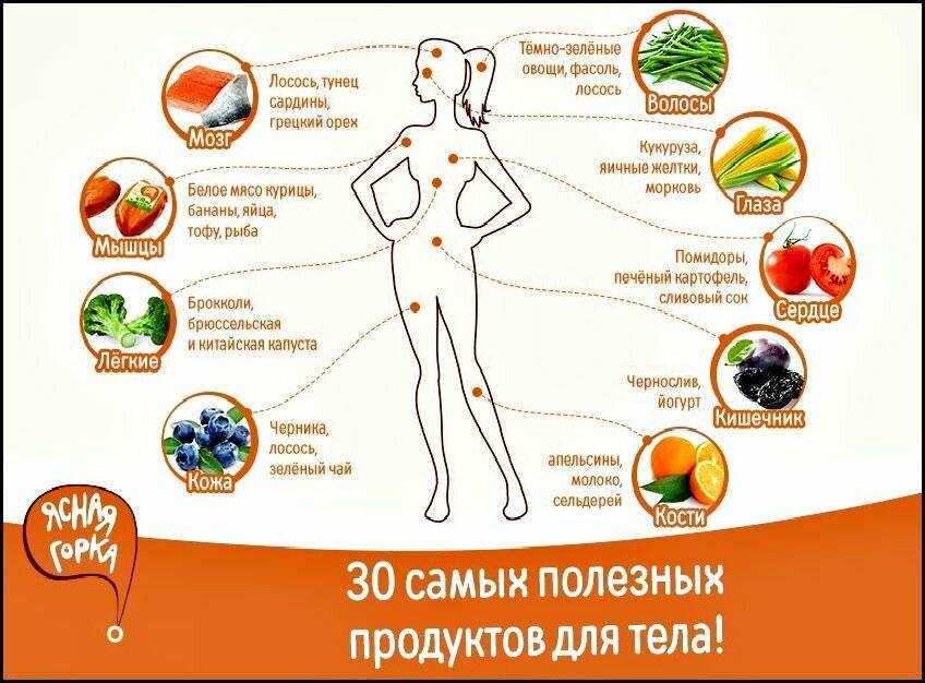 Список самых полезных продуктов для здоровья