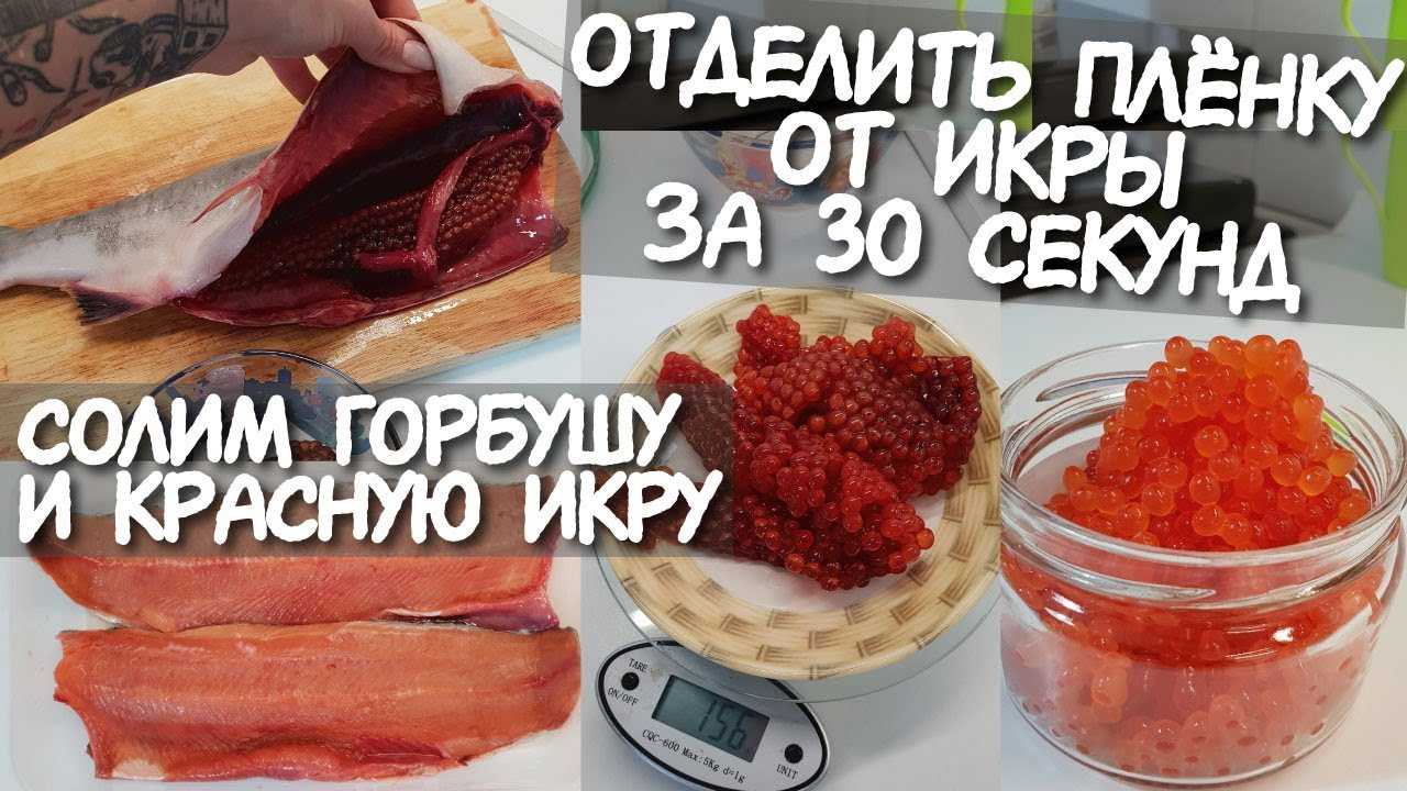 Как засолить красную икру в домашних условиях