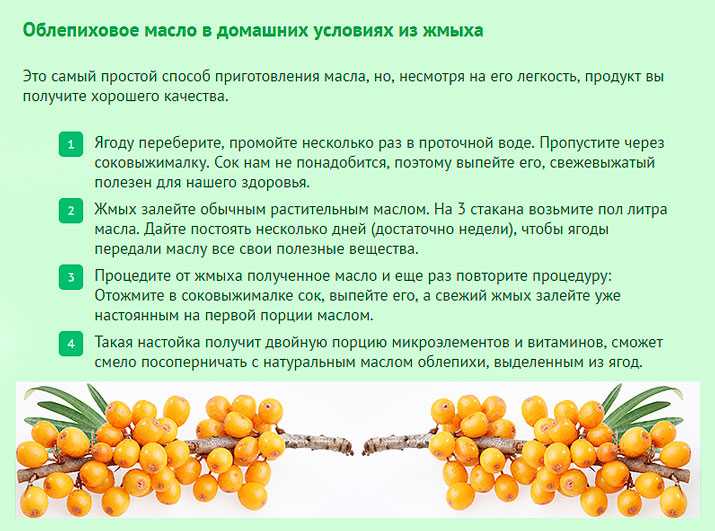 Настойка облепихи: на водке, спирту, самогоне, с пряностями, простые рецепты в домашних условиях