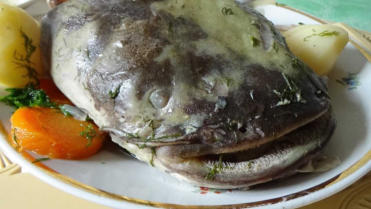 Как приготовить сома вкусно. легкие и простые рецепты из сома. быстрые, легкие и очень вкусные блюда из речной рыбки - сома.