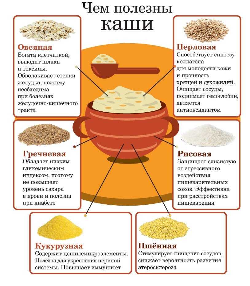 Правильное питание во время беременности - советы по правильному питанию - agulife.ru