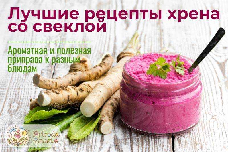 Хрен со свеклой – 6 рецептов приготовления в домашних условиях