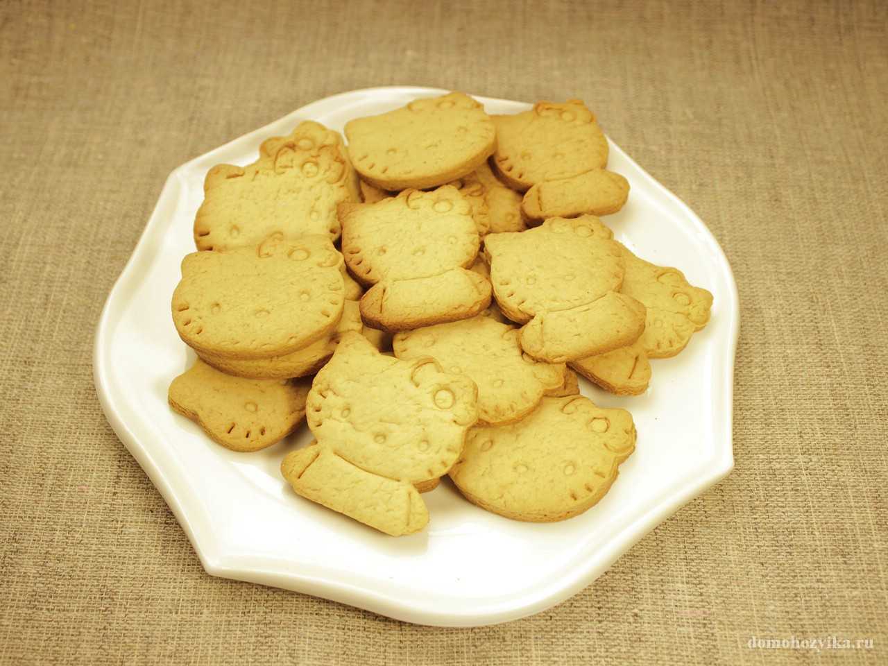 Овсяное печенье в домашних условиях — 5 рецептов очень вкусного печенья из овсяных хлопьев