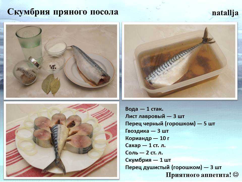Очень вкусная скумбрия, соленая в домашних условиях: 9 простых рецептов