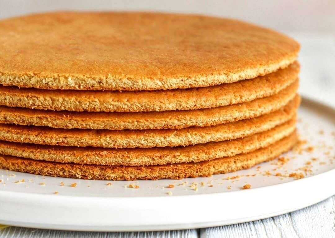 Самый вкусный «медовик»: 10 очень простых рецептов приготовления лучшего торта в домашних условиях
