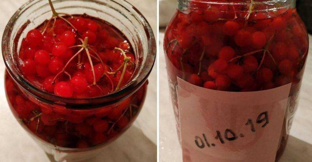 Калина на зиму — 9 лучших рецептов заготовки калины красной