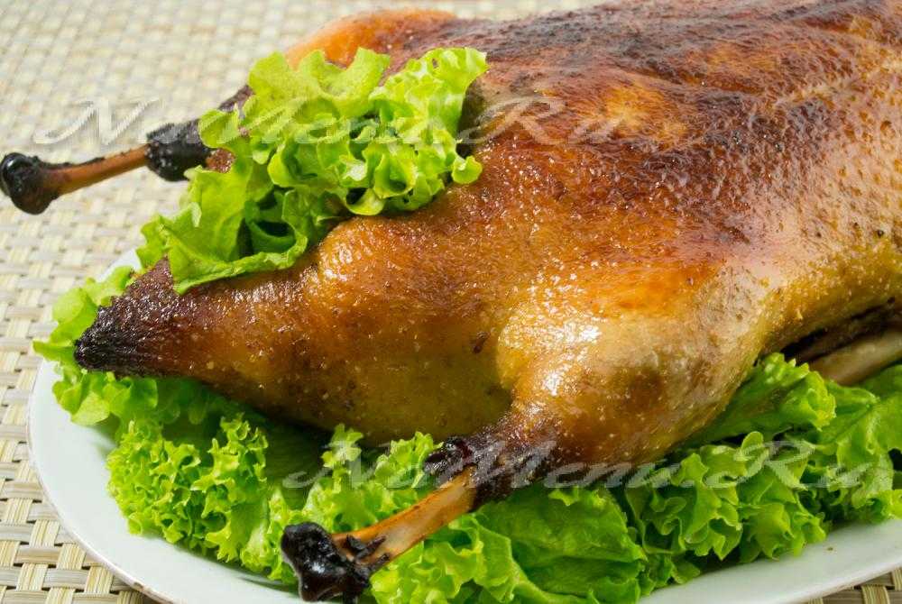 Курица в медово — горчичном соусе — 8 вкусных рецептов маринада