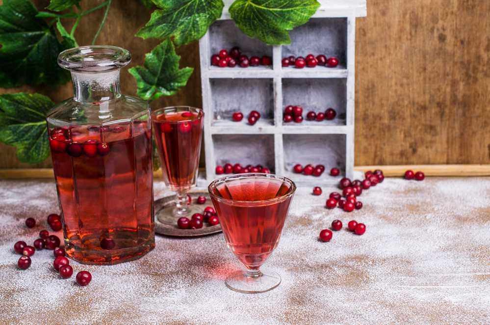 🍸 как приготовить клюквенную наливку на водке: 4 простых рецепта 🍹