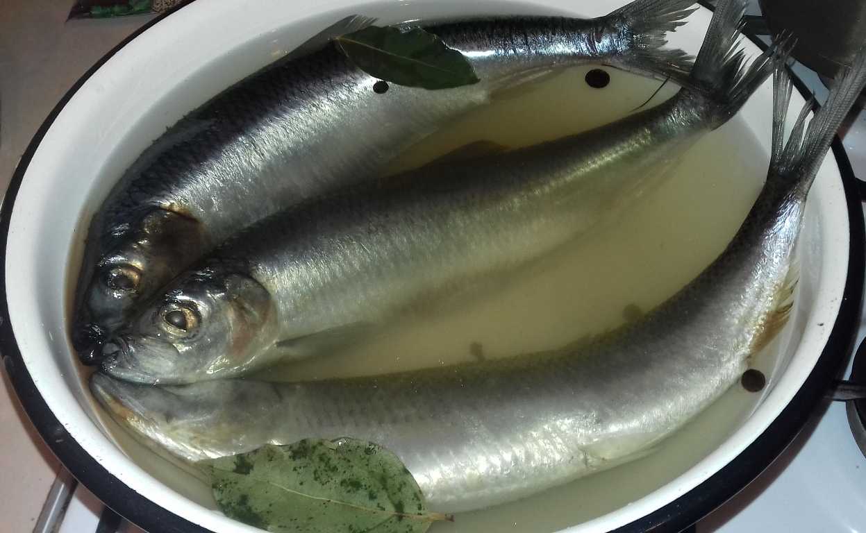 Сельдь сухого посола - 4 быстрых и очень вкусных рецепта в домашних условиях