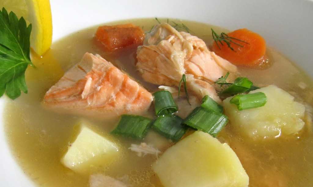 Уха из семги (7 самых вкусных рецептов)