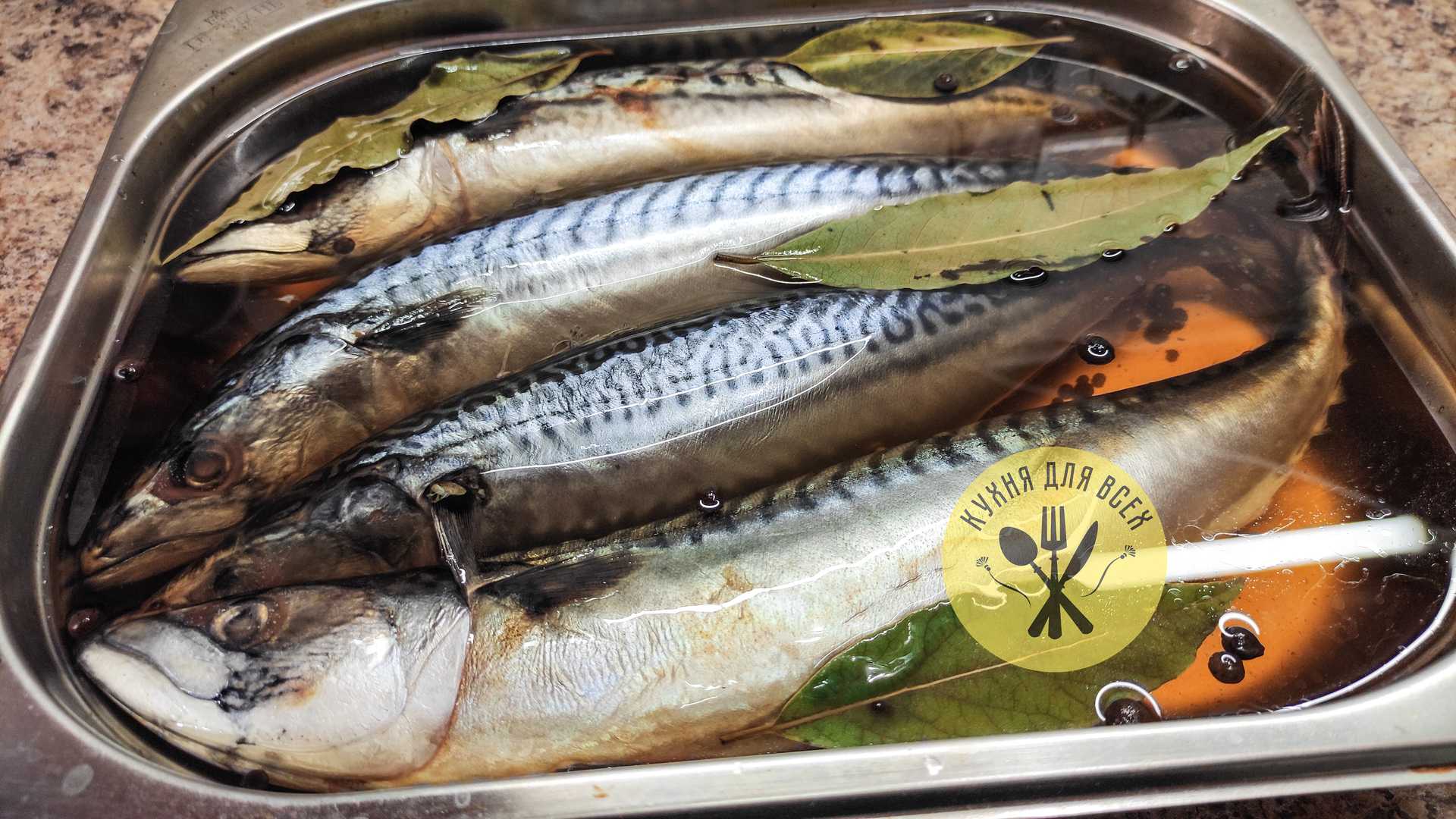 Соленая скумбрия в домашних условиях - очень вкусные и несравненные рецепты