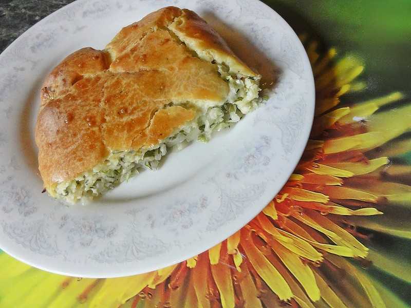Пирог с капустой на скорую руку – 8 быстрых рецептов капустного пирога